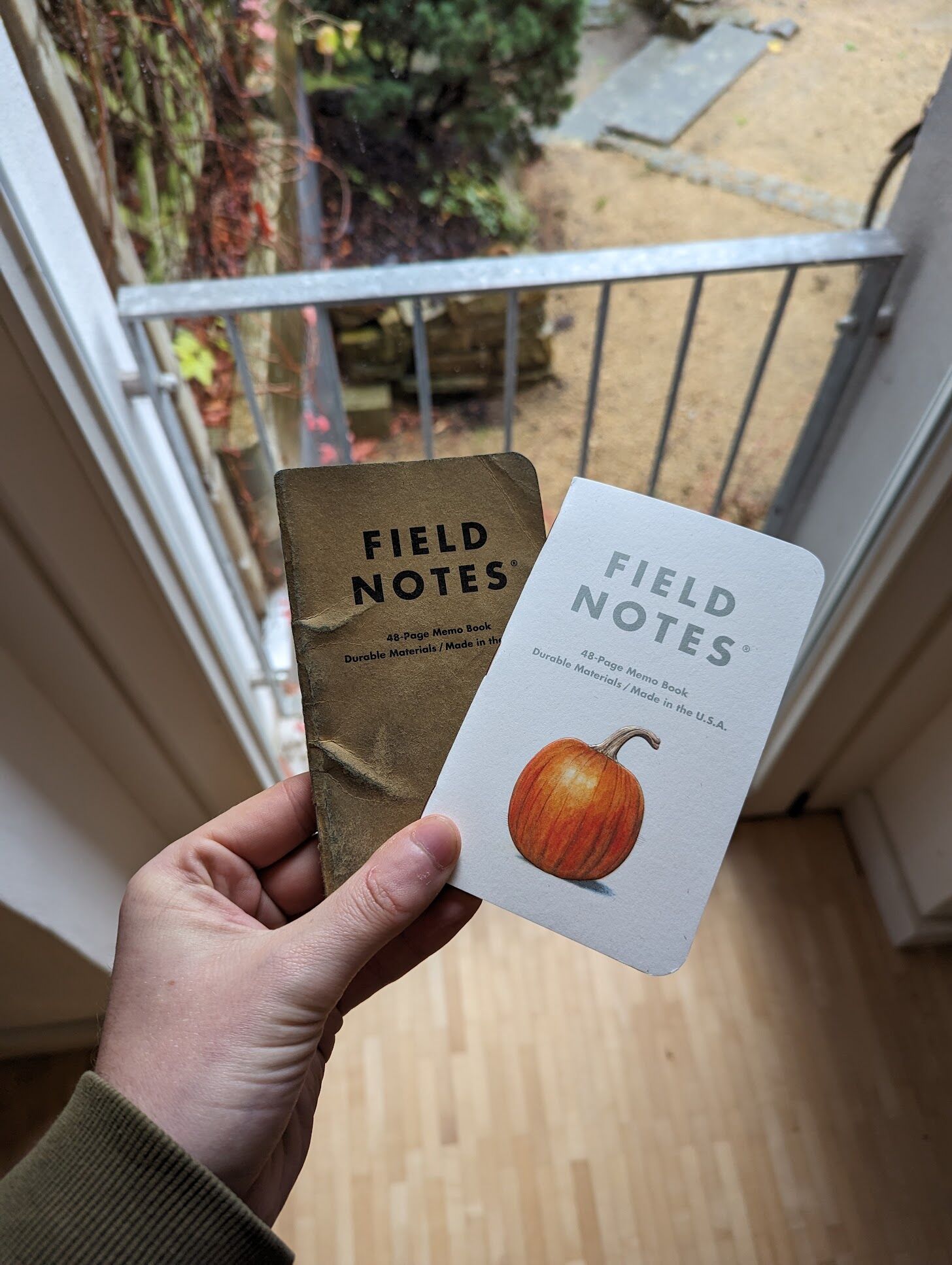 Field Notes #3